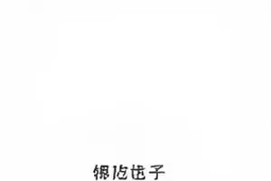 《评论区观点对照》封面，展示正反两方留言并排